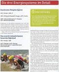 Triathlon:Richtiges Material-effektives Training-optimale Vorbereitung