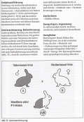 Taschenbuch Kaninchen - Zucht und Haltung von A bis Z
