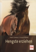 Hengste erziehen