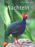 Wachteln - Minihhnchen zum Staunen