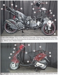 Motorroller: Piaggio & Co - Die Viertakter 50 bis 500 Kubik