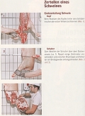 Hausschlachten: Zerteilen - Verarbeiten - Vermarkten, mit Rezeptteil