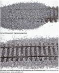 Gleisbau im Modell - Sicher, schnell und preiswert