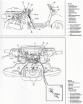 Yamaha XC 125 Beluga - ab Baujahr 1990