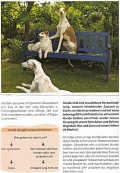 Dog Relx: Entspannter Mensch - Entspannter Hund