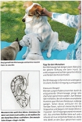 Dog Relx: Entspannter Mensch - Entspannter Hund