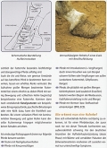 Hufrehe: Vermeidung - Frherkennung - Heilung