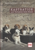 Kastration und Verhalten beim Hund