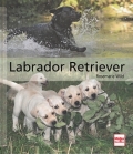 Labrador Retriever: Ursprung - Aufzucht - Erziehung - Pflege