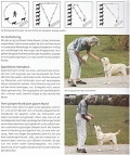 Labrador Retriever: Ursprung - Aufzucht - Erziehung - Pflege