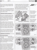 BMW R 1200 R ab Modelljahr 2011 (DOHC Radialventiler)